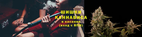 амф Алзамай