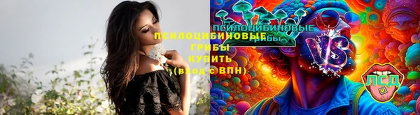 индика Абдулино