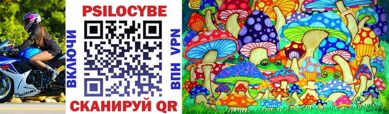 Псилоцибиновые грибы MAGIC MUSHROOMS  кракен зеркало  Ессентукская  закладки 